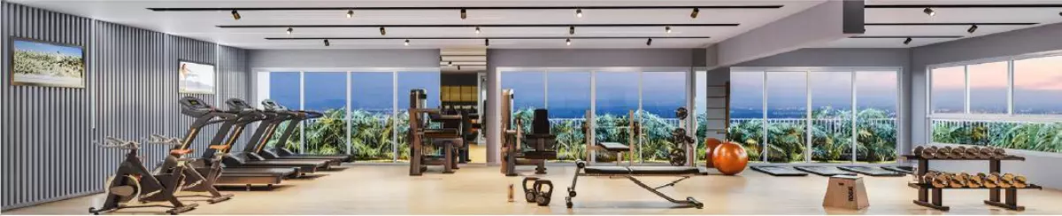 vox home academia